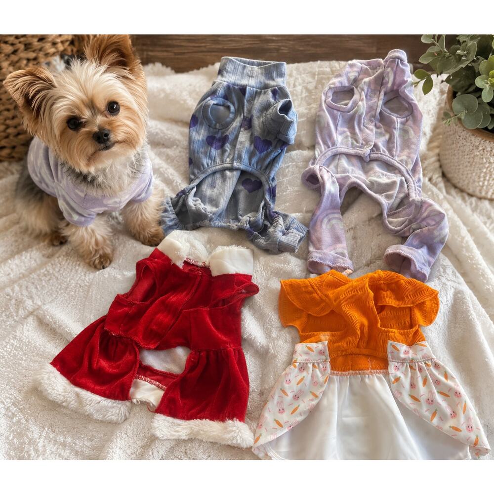 Small Dog Clothes Lot of 4 Dresses Pajamas Santa Outfit Puppy XS-S